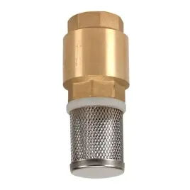 zawor-zwrotny-1-cal-z-koszem-do-hydroforu-studni