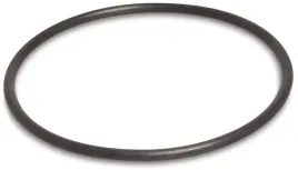 uszczelka-oring-korpusu-pompy-jet100a-a-omnigena