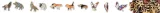 puzzle-drewniane-rys-discreet-lynx-a4-plec-chlopcy-dziewczynki-brak-informacji