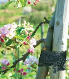 tasma-ogrodnicza-3cm-x-50m-rodzaj-inny