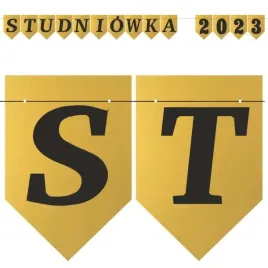 baner-flagi-studniowka-2023-zloty-diy-25-m