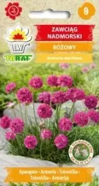 zawciag-nadmorski-rozowy-na-skalniak-nasiona-01-g