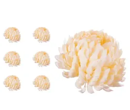 chryzantema-ananas-kremowo-waniliowa-6-sztuk