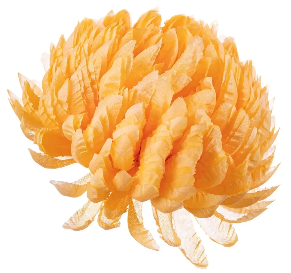 chryzantema-ananas-zolty-x6