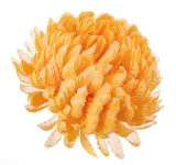 sztuczne-kwiaty-chryzantema-ananas-zolta-glowka-wyrobowa-6-sztuk-rodzaj-glowki-kwiatowe