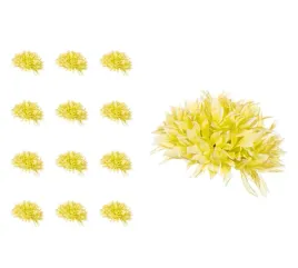 chryzantema-aster-glowka-zielona-12-sztuk
