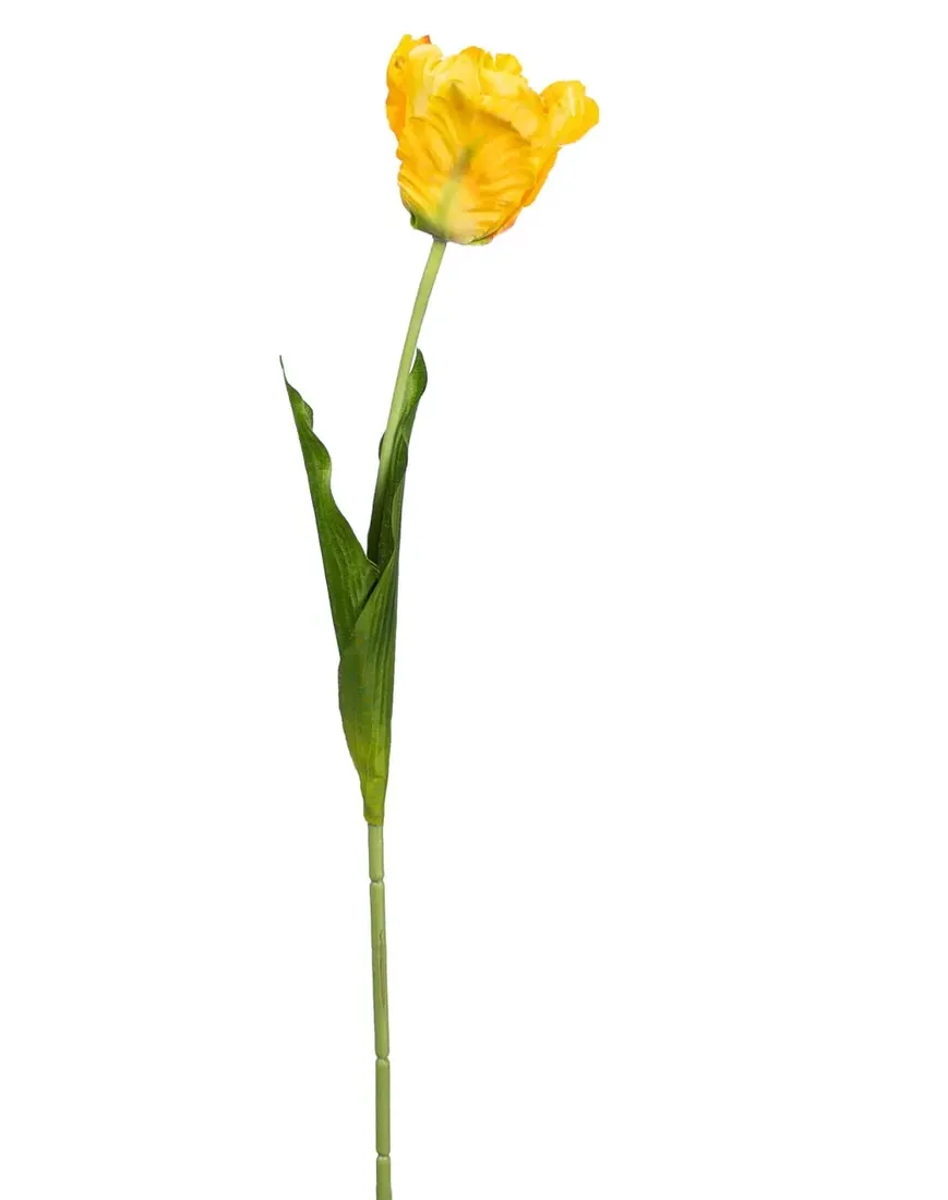 tulipan-zolty-galazka