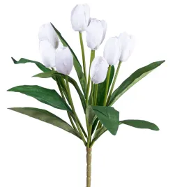 tulipan-bialy-bukiet
