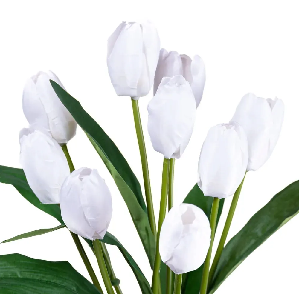 tulipan-bialy-bukiet