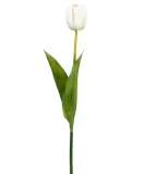 sztuczne-kwiaty-tulipan-kremowy-galazka-dekoracyjna-do-wiazanek-stan-nowy