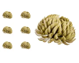 chryzantema-ananas-oliwkowo-zielona-6-sztuk
