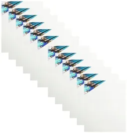 12x-podobrazie-40x50-plotno-malarskie-40-50-cm