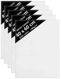 5x-podobrazie-40x60-podobrazia-blejtram-davinci