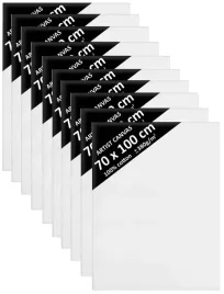 10x-blejtram-podobrazie-70x100-podobrazia-davinci