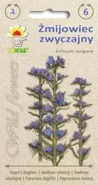 zmijowiec-zwyczajny-miododajny-nasiona-1g