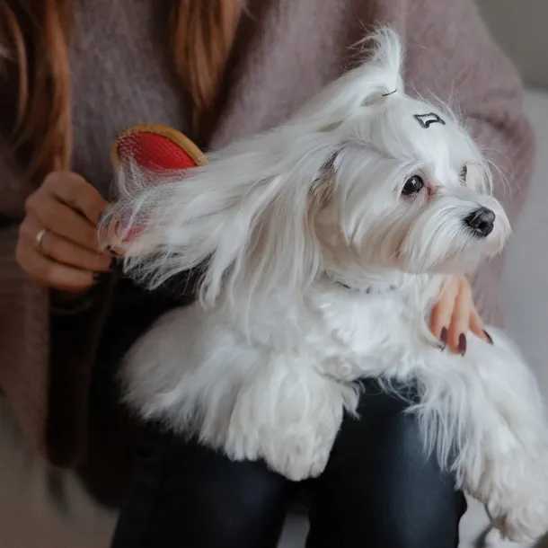 dingo-szczotka-bambusowa-serce-wlosie-nylon