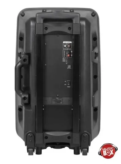 glosnik-bluetooth-30cm-usb-mikrofony-karaoke-waga-z-opakowaniem-21-5-kg