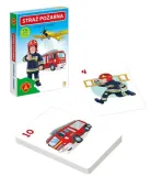 alexander-piotrus-straz-pozarna-stan-nowy