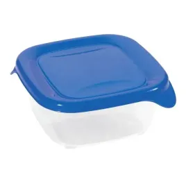 curver-pojemnik-na-zywnosc-freshandgo-kwadrat-niebieski-045-l