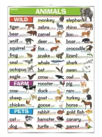 animals-plansza