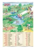 sport-plansza