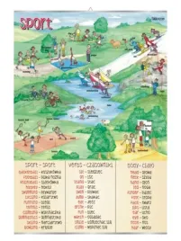 sport-plansza