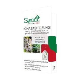 chabasite-fungi-10-g
