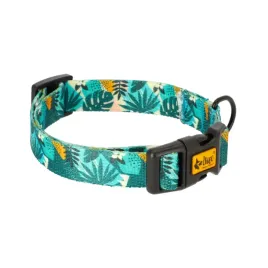 dingo-obroza-city-monstera-2-45cm