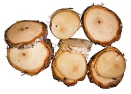 naturalne-plastry-drewna-brzoza-krazki-3-5cm