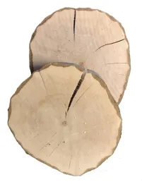 naturalne-plastry-drewna-grab-krazki-15-20cm