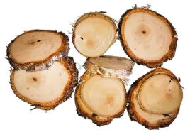 naturalne-plastry-drewna-brzoza-krazki-10-15cm