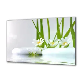 panel-szklany-kwiaty-23155472-120x60