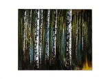 obraz-100x120cm-254005