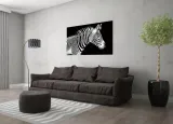 obraz-szklany-120x80-zebra-260280-stan-nowy