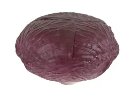 sztuczne-warzywo-kapusta