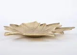 patera-lisc-gold-stan-nowy