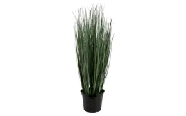 roslina-doniczkowa-trawa-70-cm