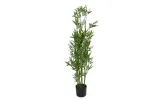 kwiat-doniczkowy-oleander-123-cm