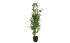 kwiat-doniczkowy-oleander-123-cm