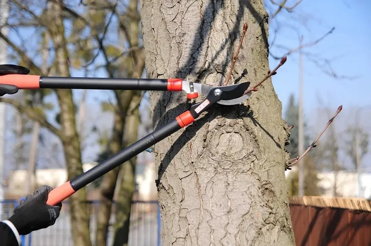 sekator-teleskopowy-630-960mm-marka-yato