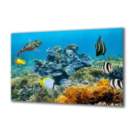 panel-szklany-akwarystyka-54385719-140x70