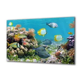 panel-szklany-akwarystyka-39646629-140x70