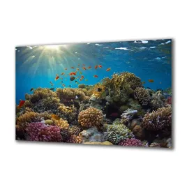 panel-szklany-akwarystyka-42028571-140x70