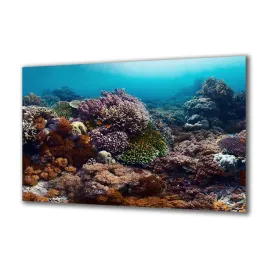 panel-szklany-akwarystyka-71595504-140x70