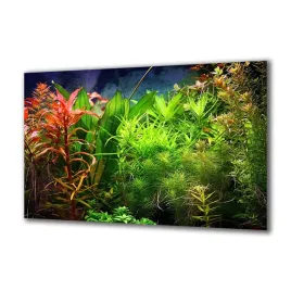 panel-szklany-akwarystyka-80977321-140x70