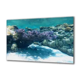 panel-szklany-akwarystyka-93216731-140x70