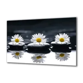 panel-szklany-kamienie-64347540-140x70