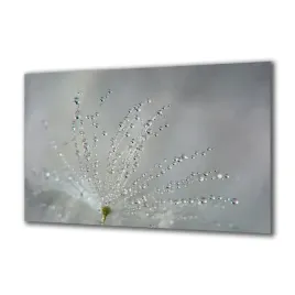 panel-szklany-kwiaty-129752208-140x70