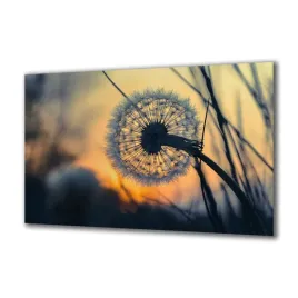 panel-szklany-kwiaty-175590656-140x70