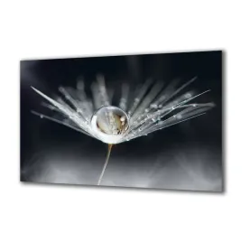 panel-szklany-kwiaty-175803465-140x70